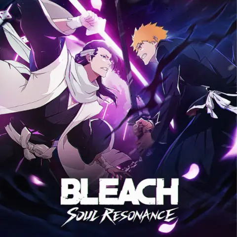Bleach Soul Resonance